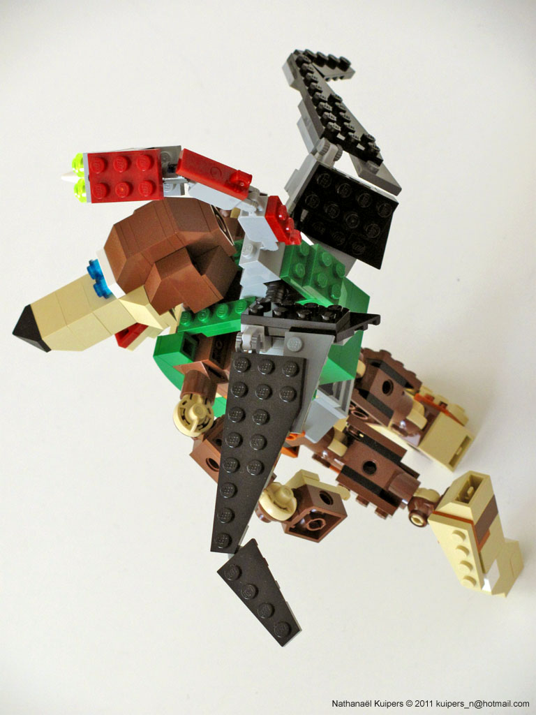 banjok8.jpg