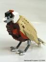 wild_bird6.jpg