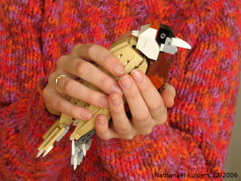 wild_bird1.jpg