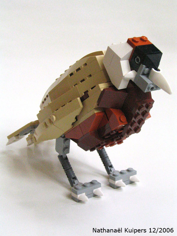 wild_bird4.jpg