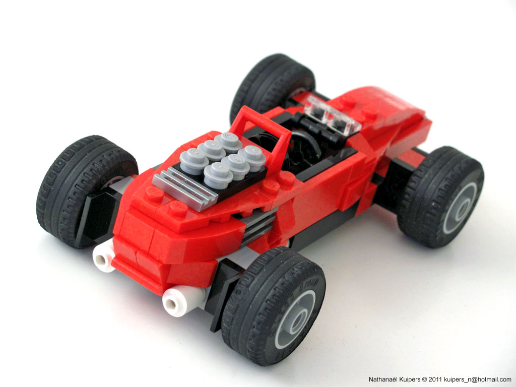 racecar_birdback.jpg