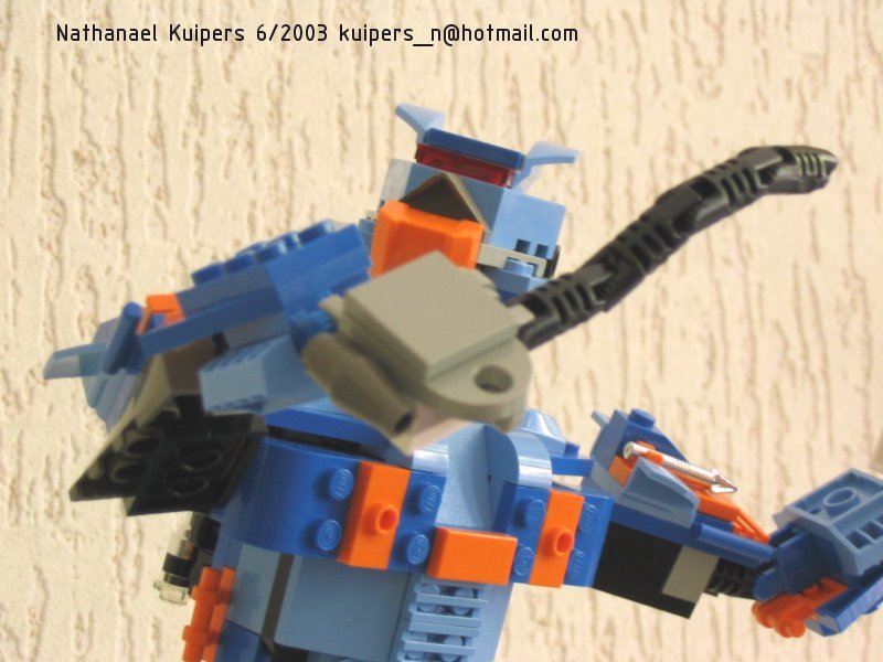 4099bot13.jpg