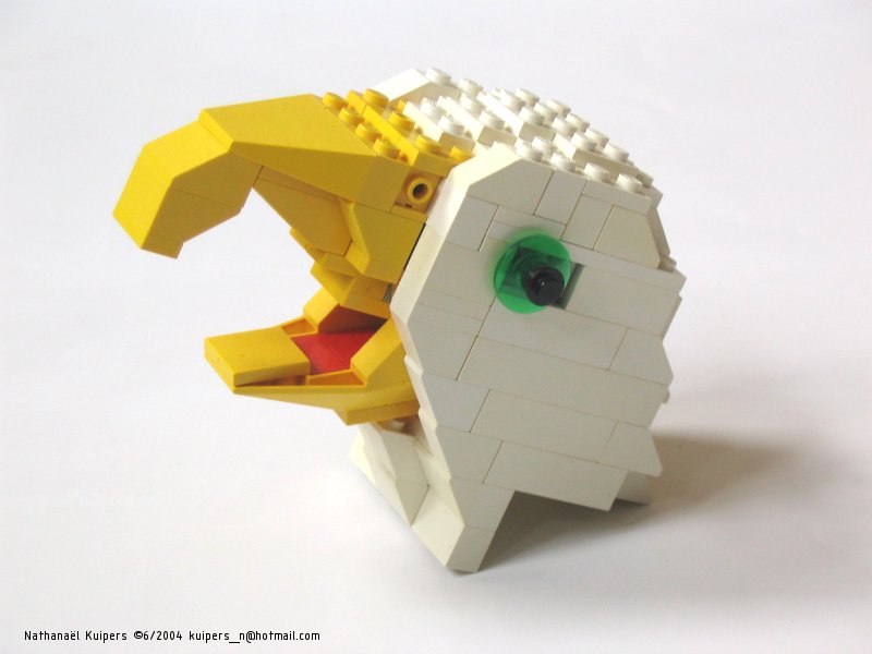 eaglehead1.jpg