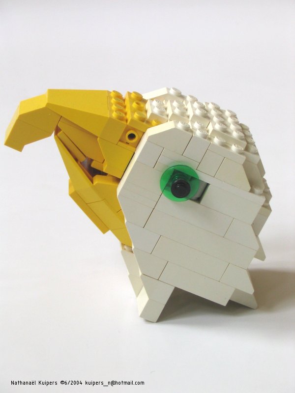 eaglehead3.jpg