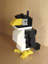 pingu.jpg