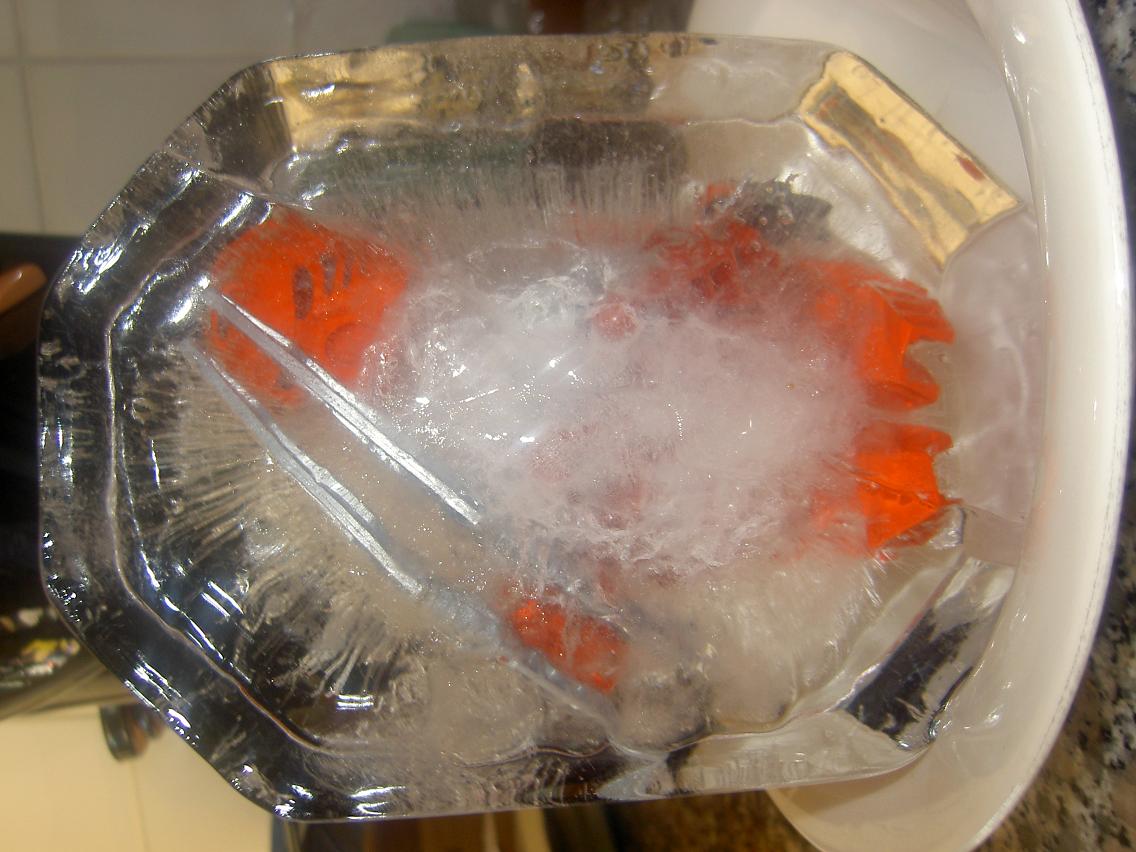 frozen_bionicle_001.jpg
