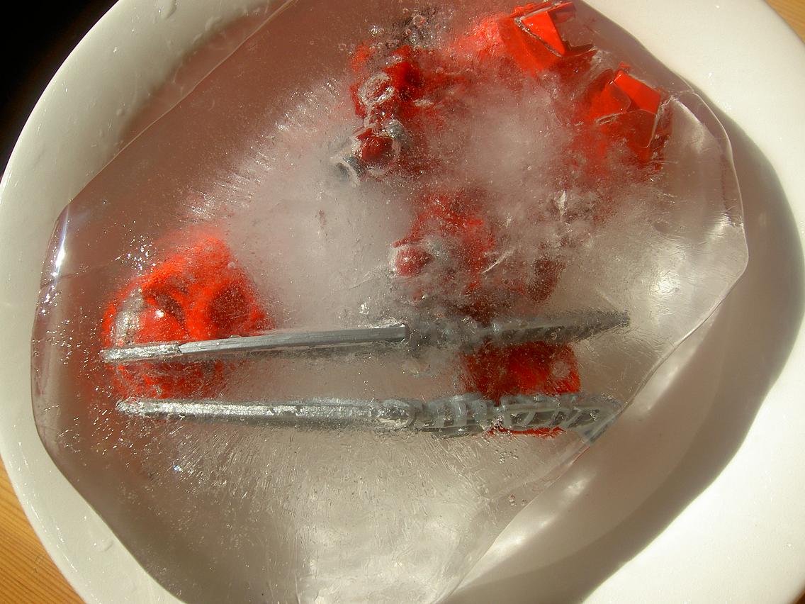 frozen_bionicle_003.jpg