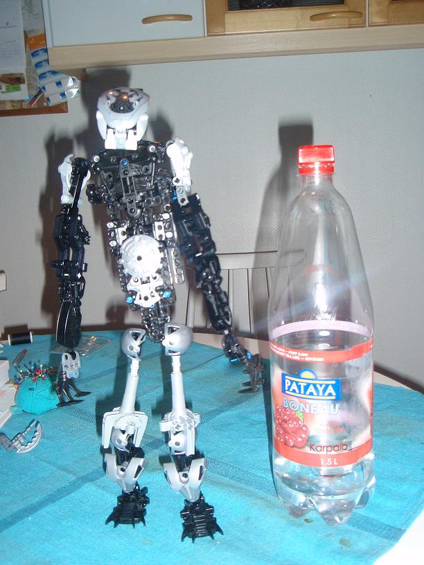 nuhvokkal5.jpg