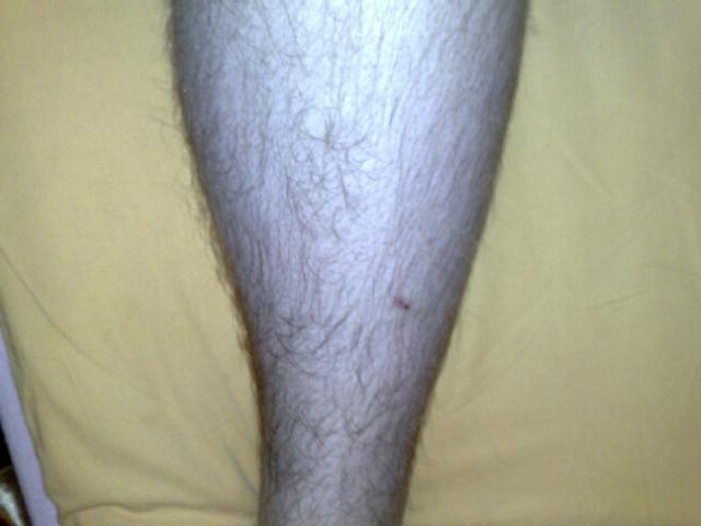 02062010575.jpg