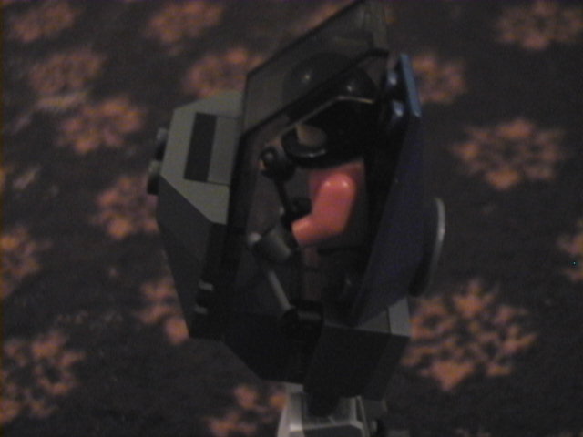 picture_010.jpg