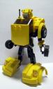 bumblebee-017.jpg