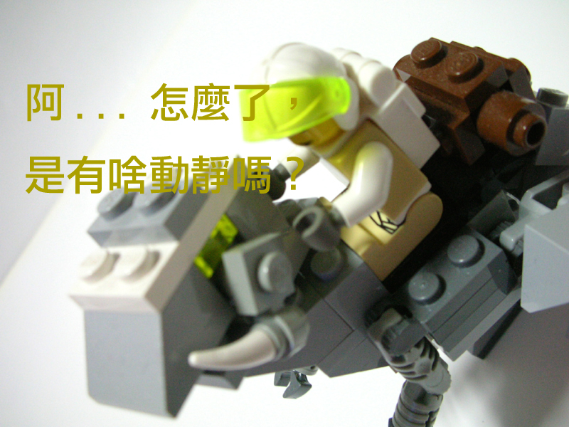 04.jpg