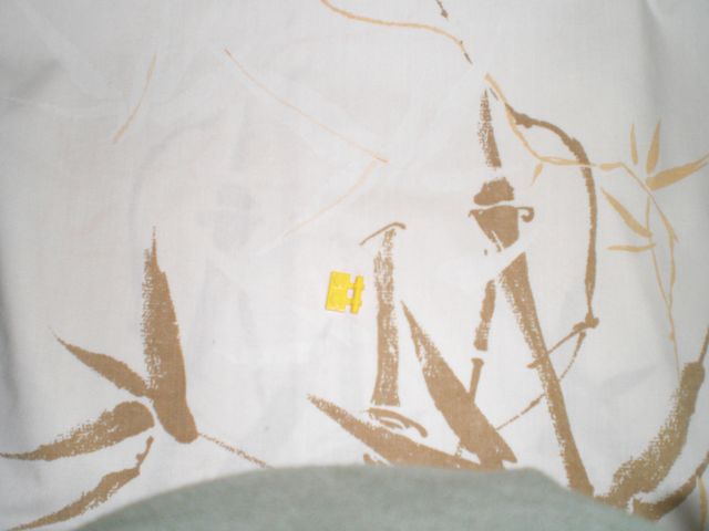 cimg0081.jpg