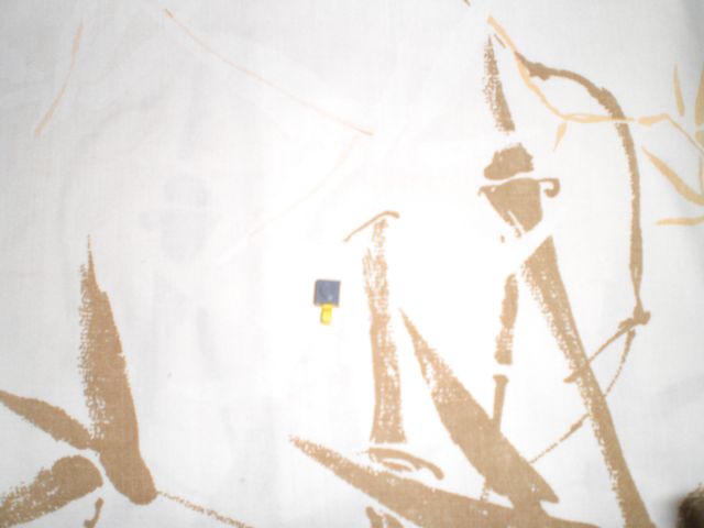 cimg0083.jpg