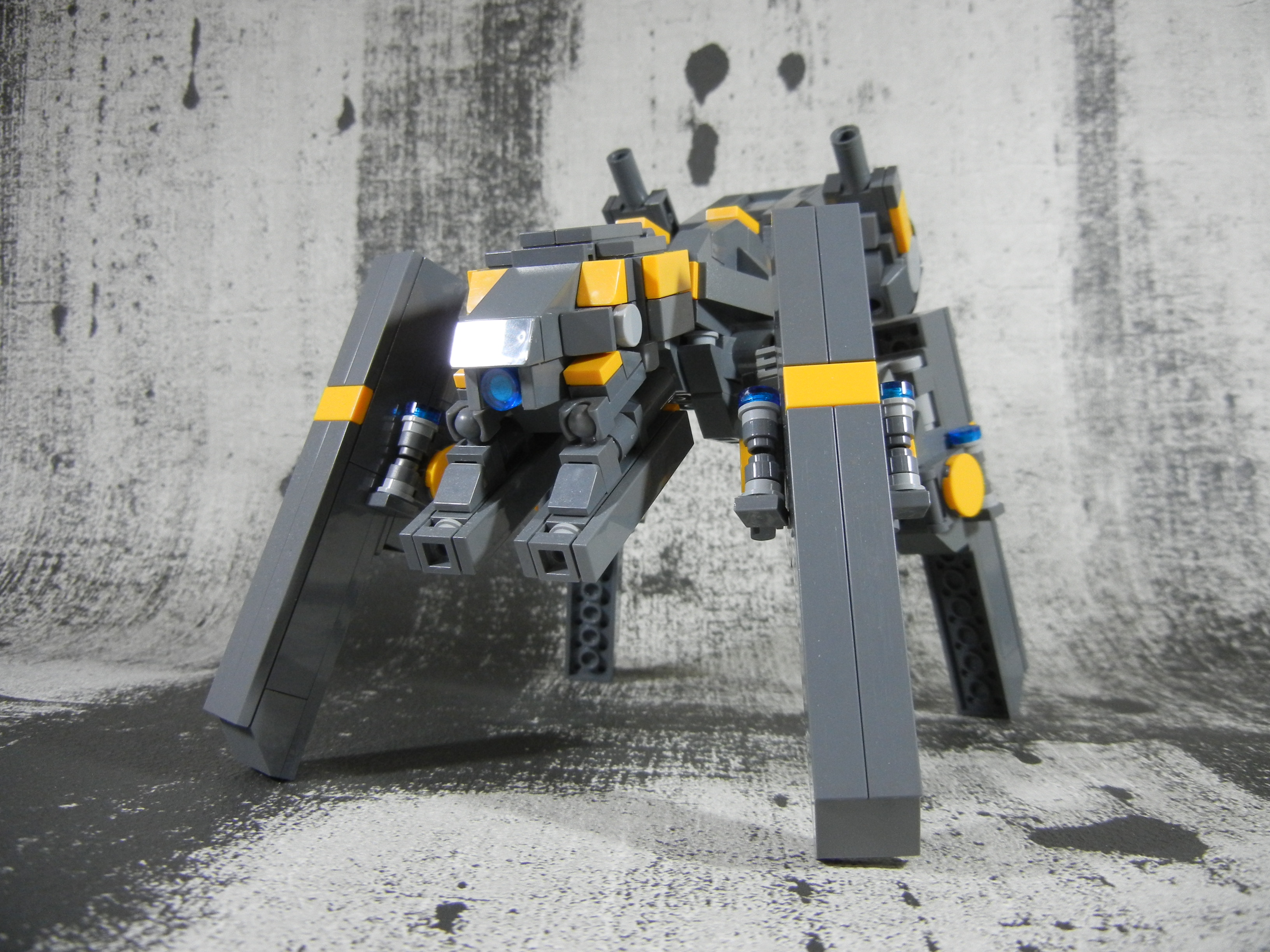 graydog002.jpg