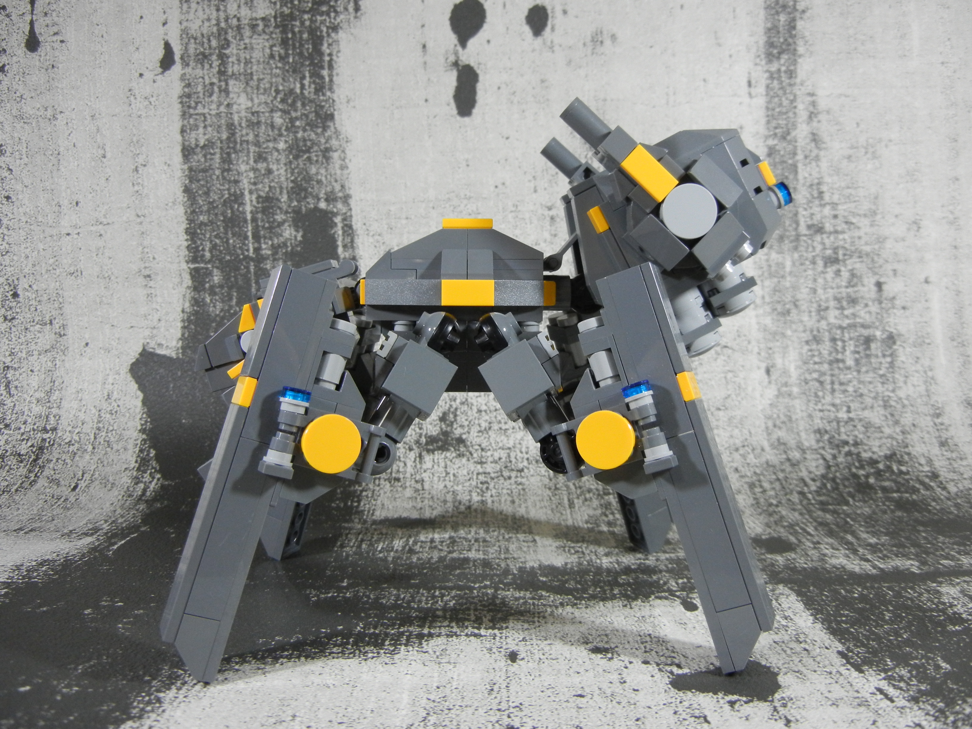graydog004.jpg