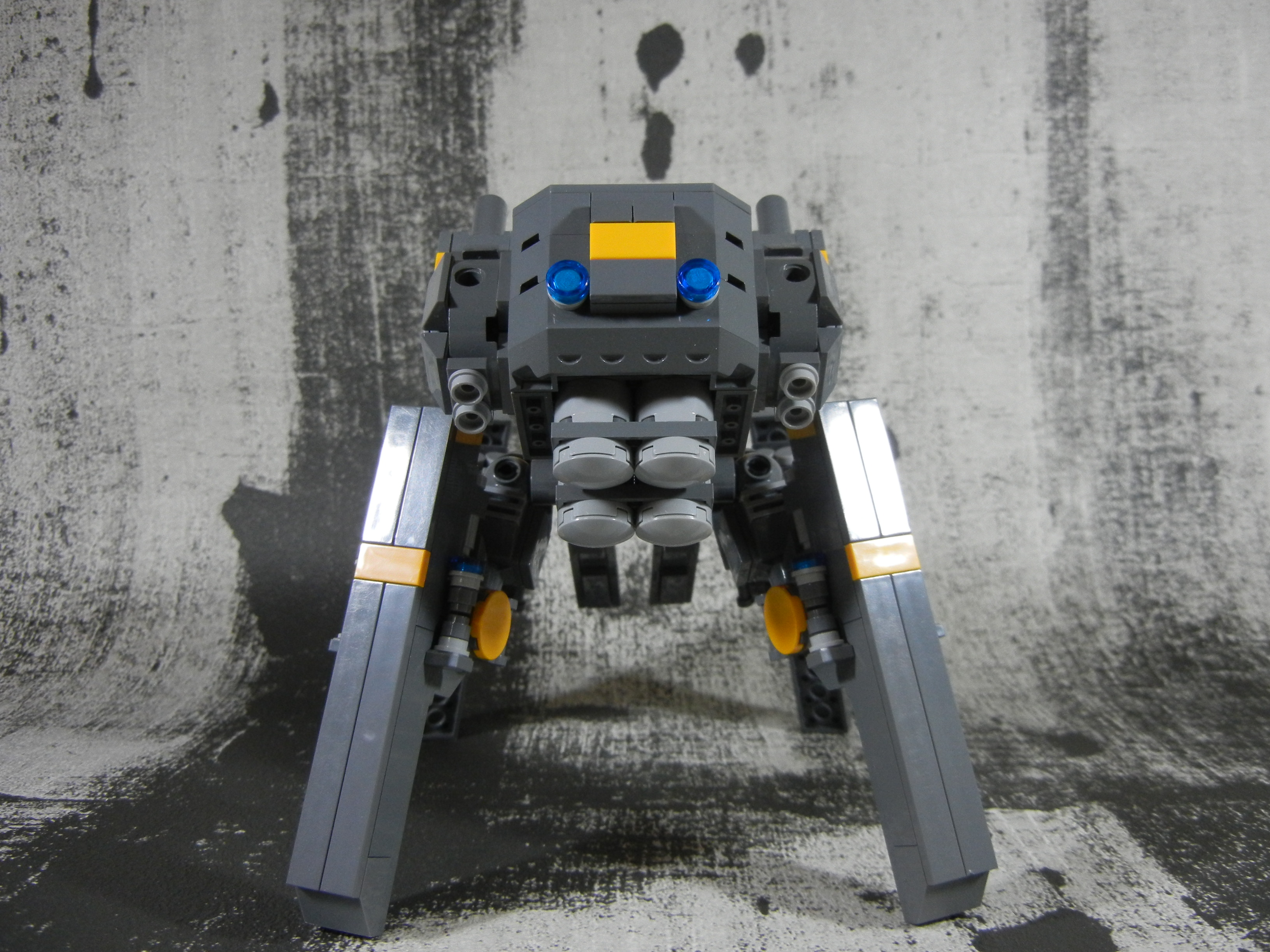 graydog005.jpg