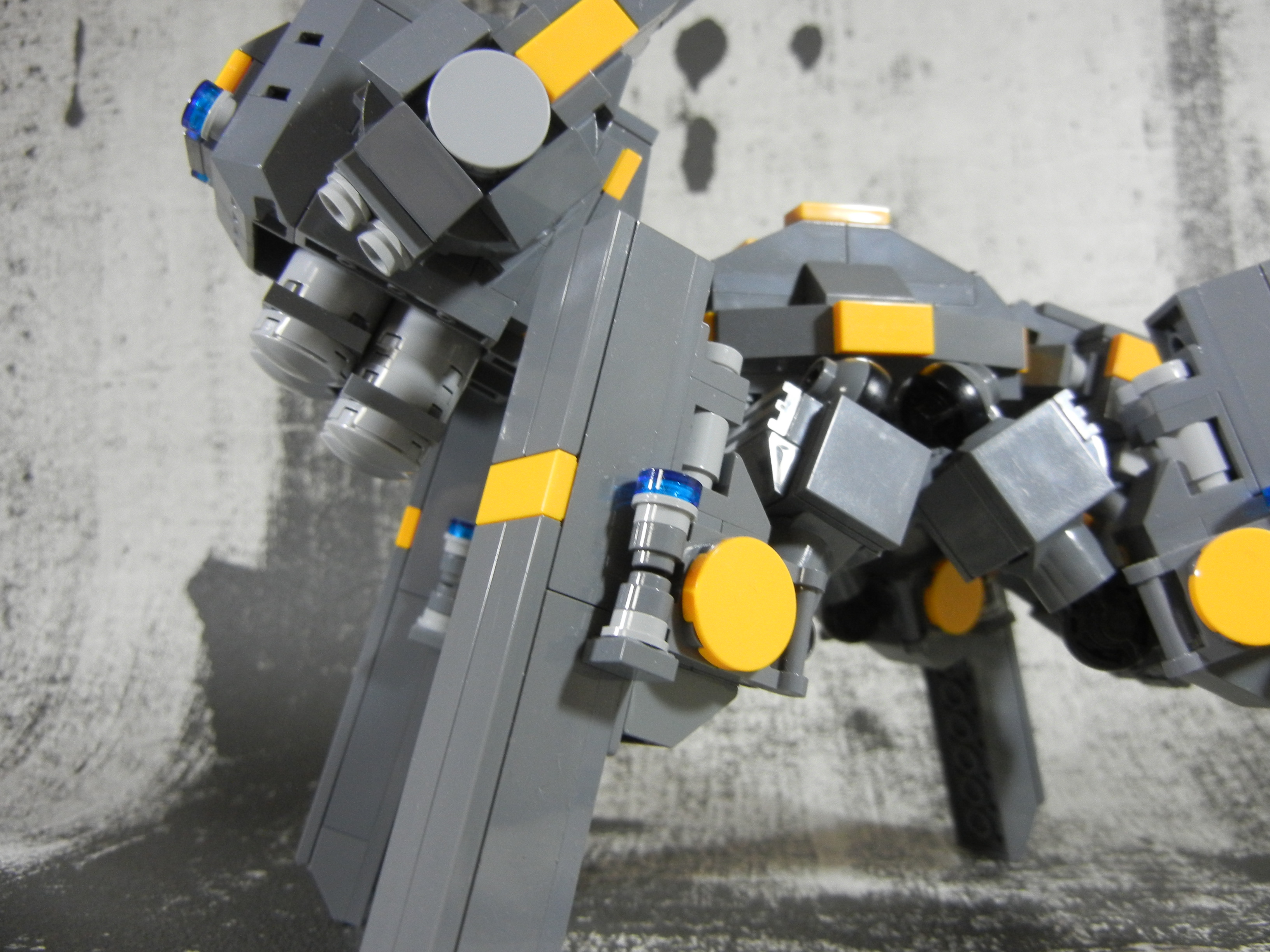 graydog006.jpg
