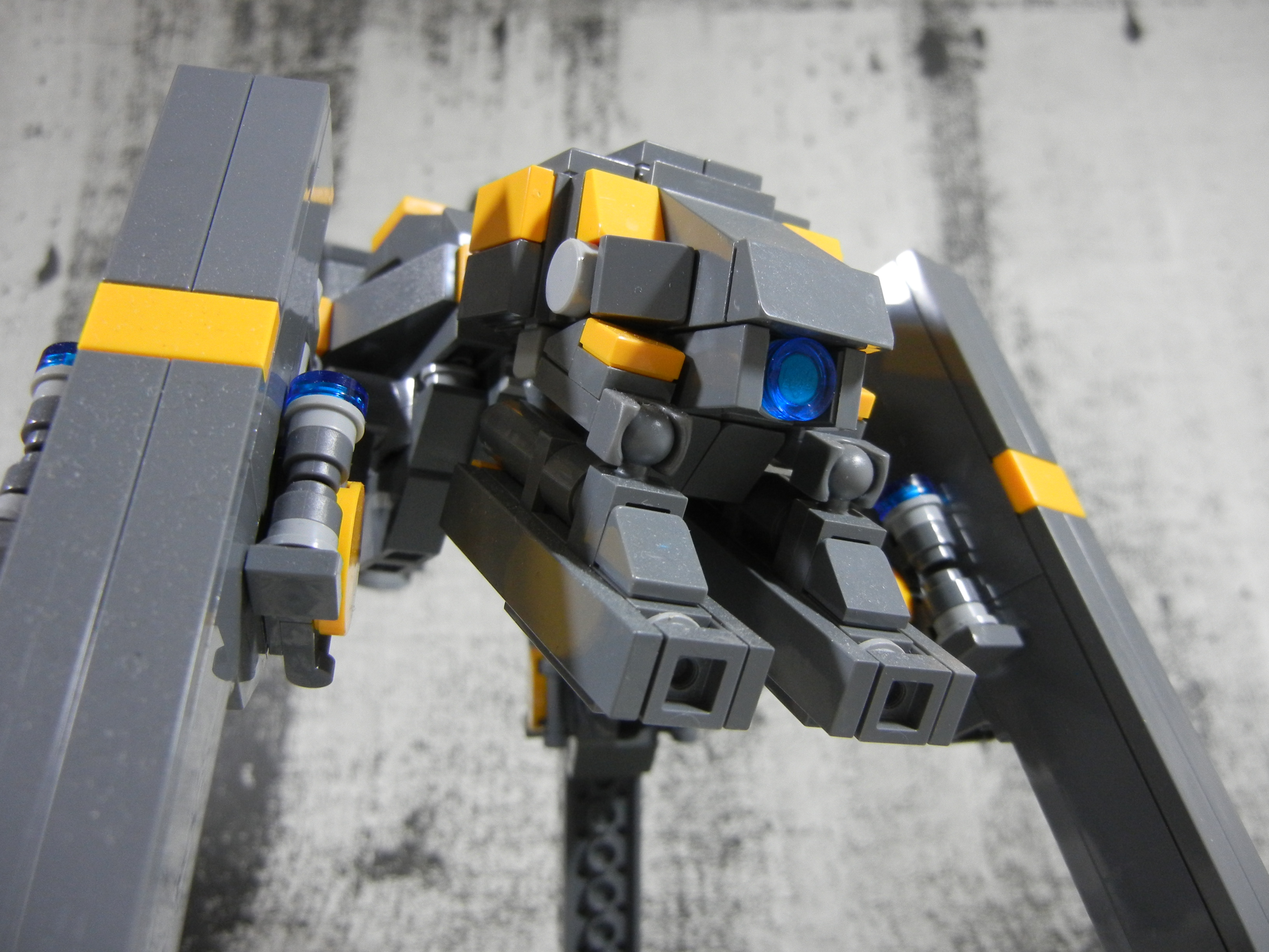 graydog008.jpg