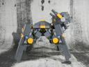 graydog004.jpg