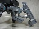 tortoise009.jpg