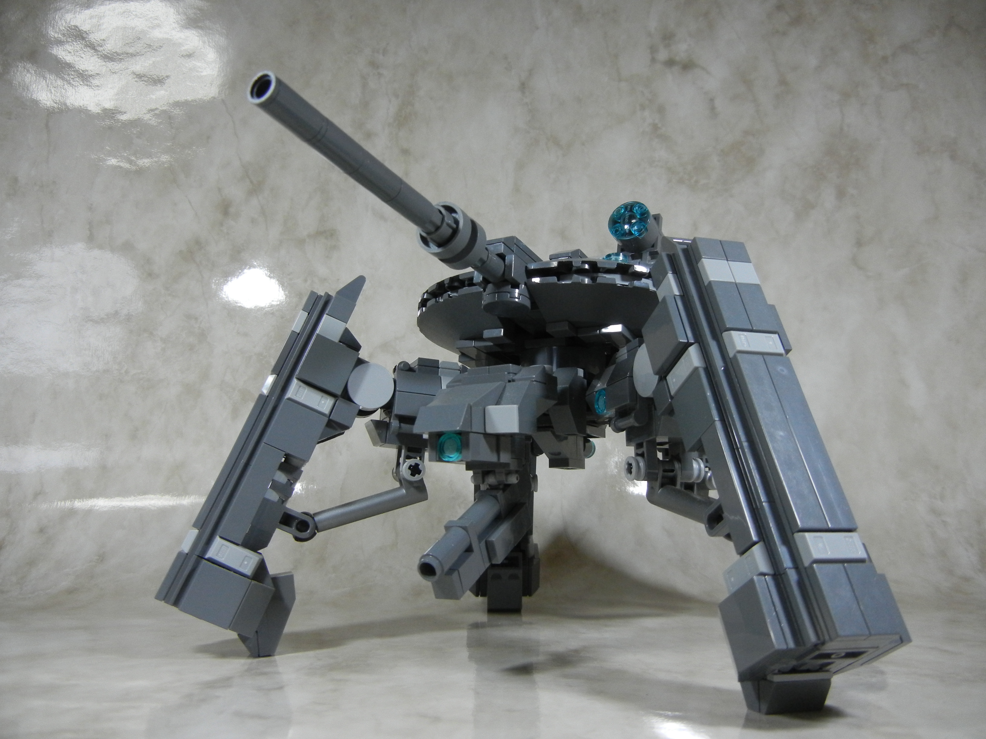 tortoise001.jpg