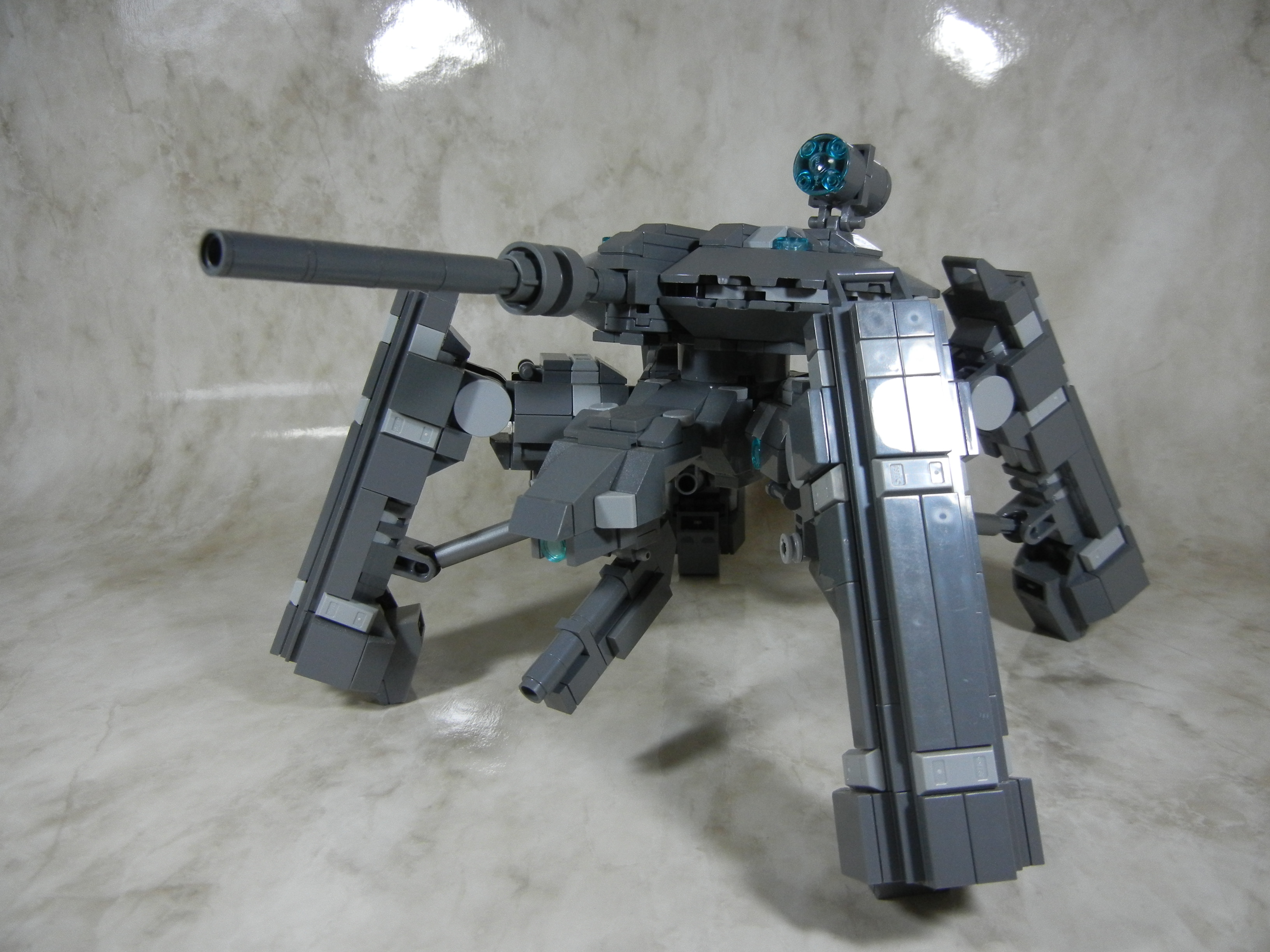 tortoise002.jpg