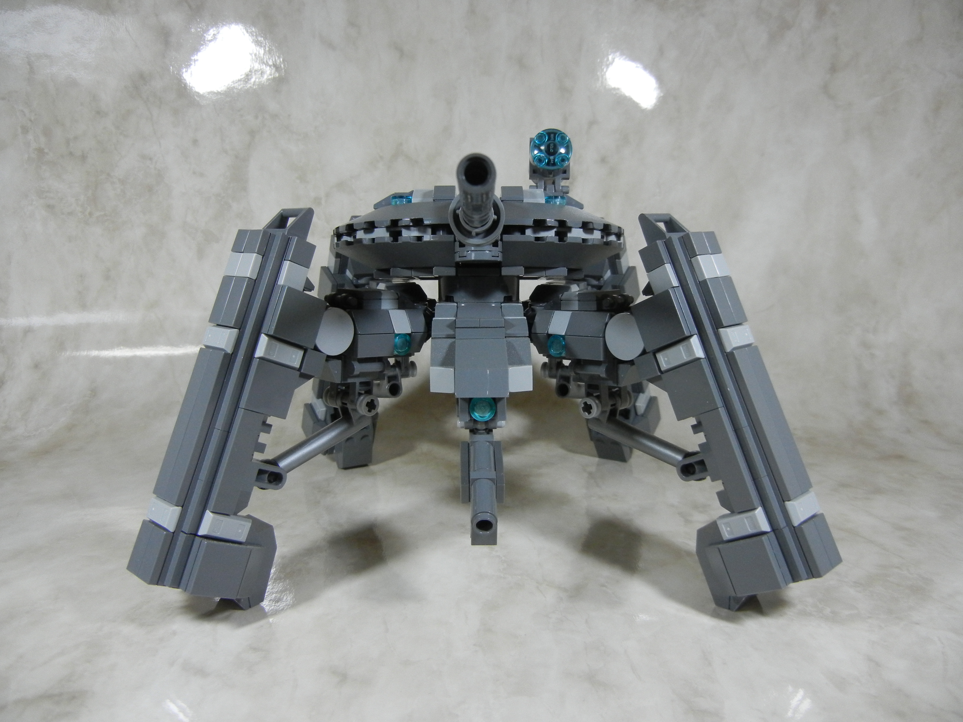 tortoise003.jpg