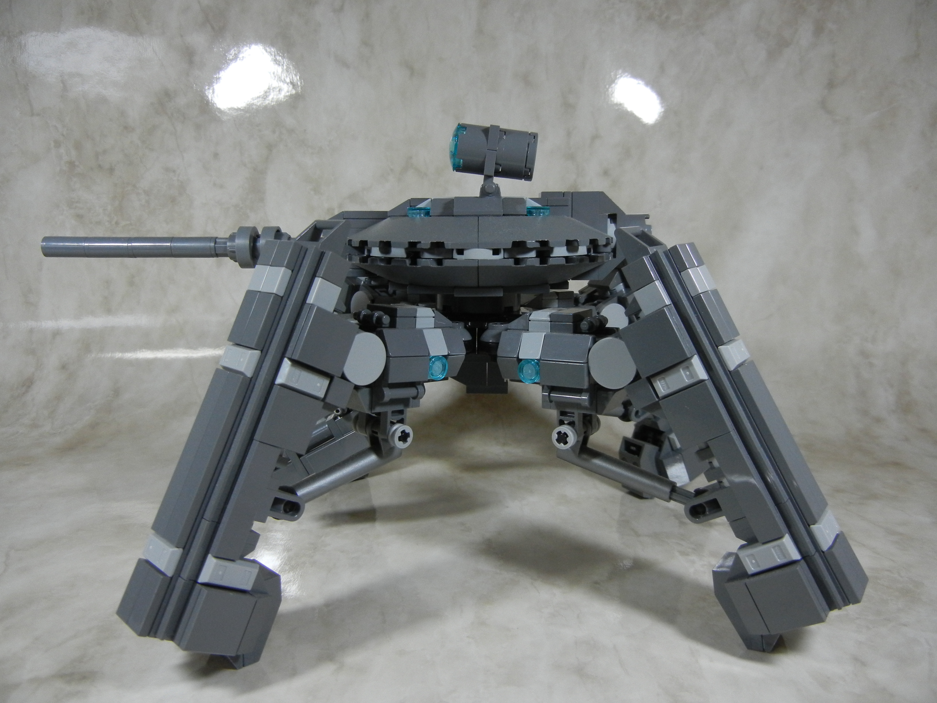 tortoise004.jpg