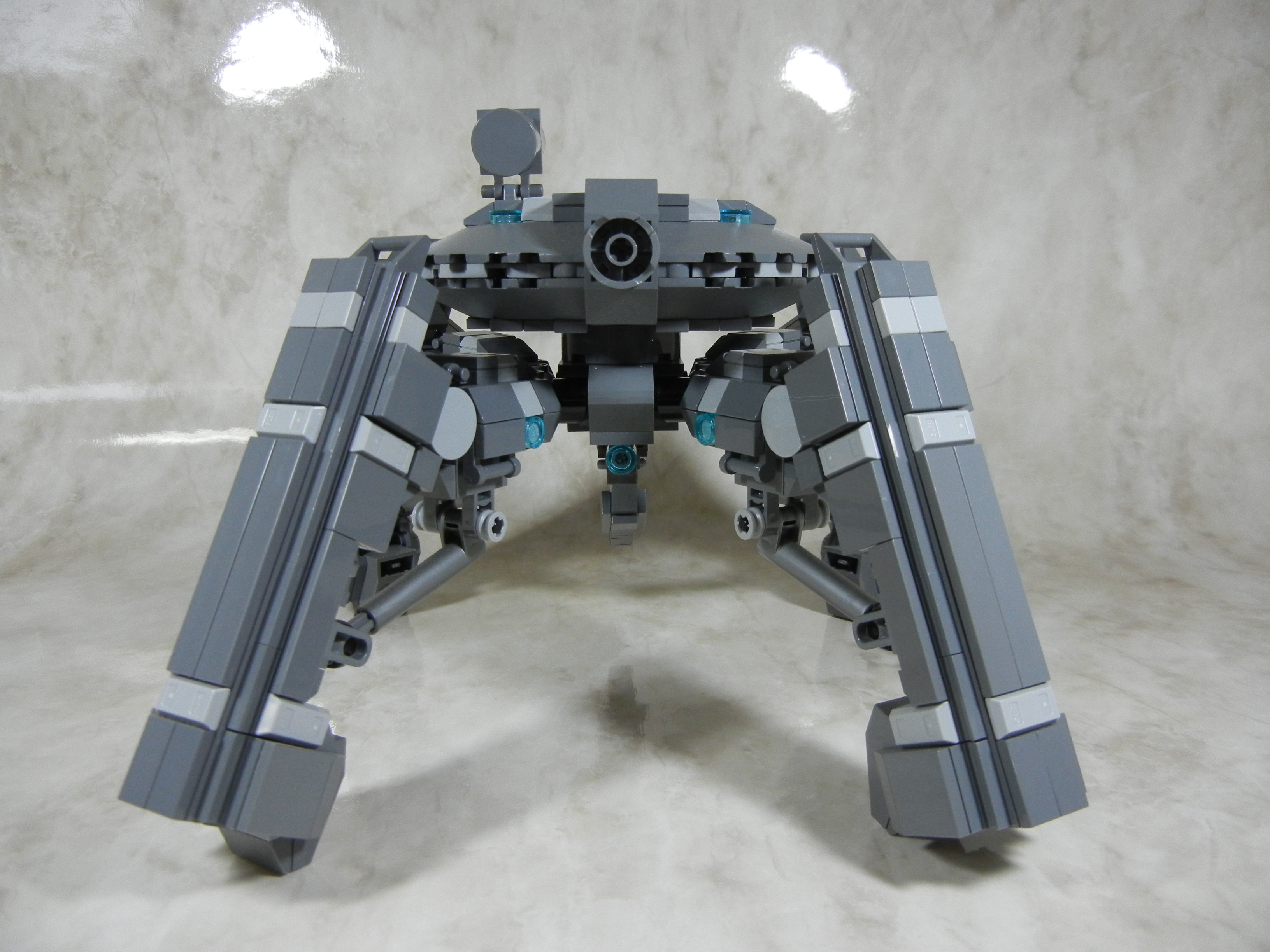 tortoise005.jpg