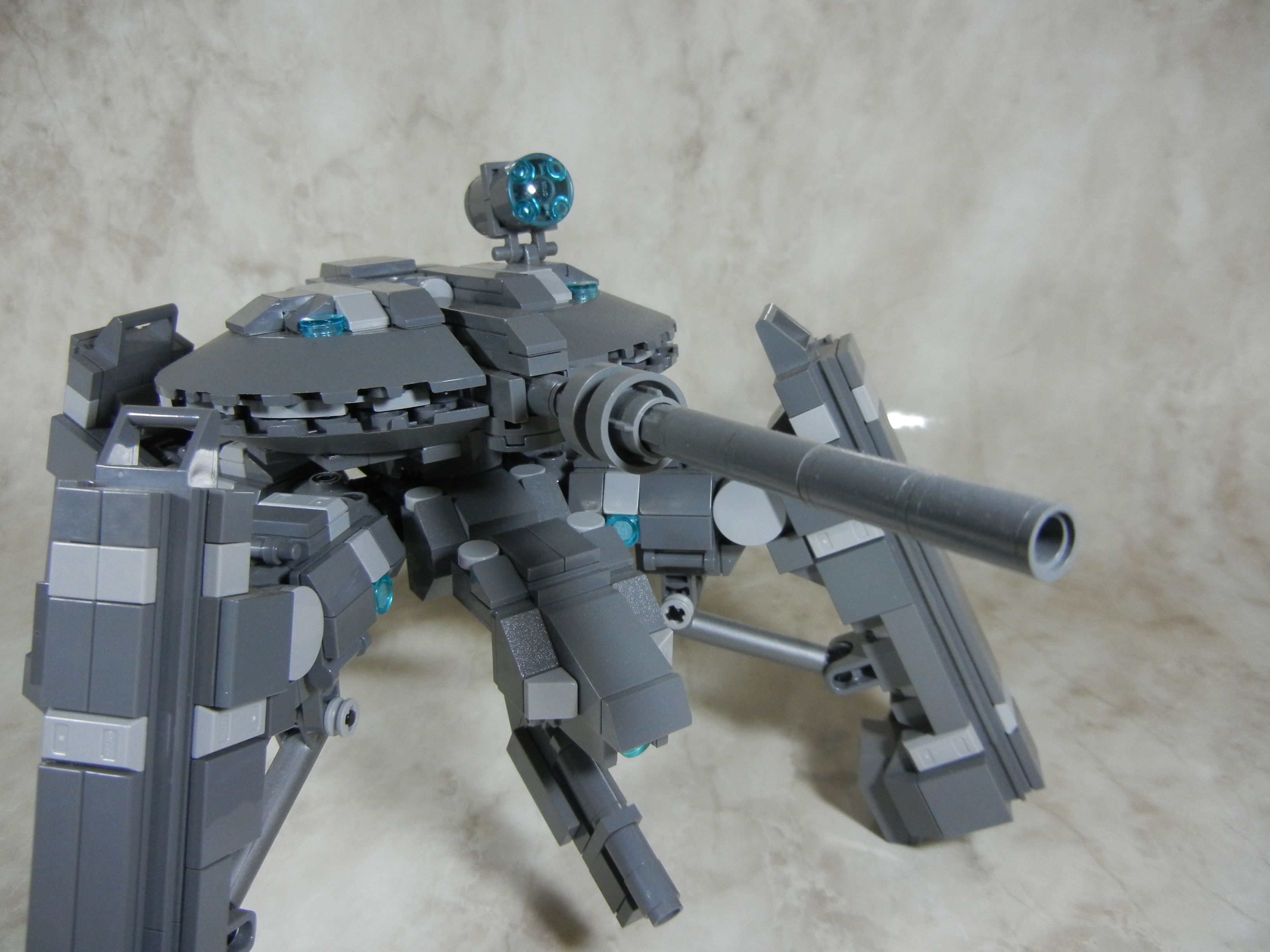tortoise006.jpg