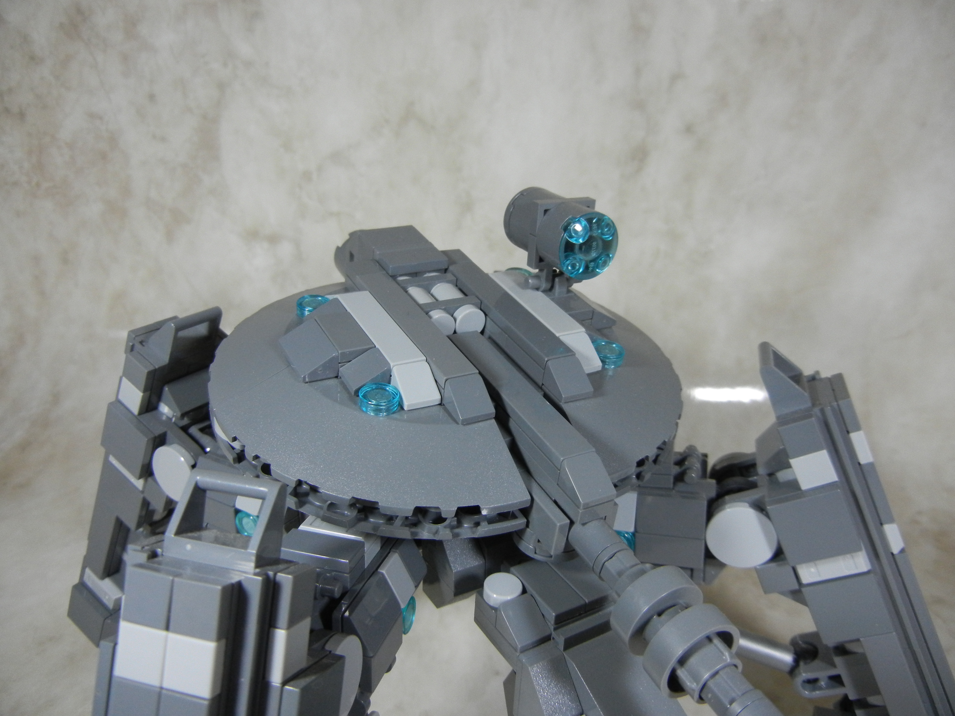 tortoise007.jpg