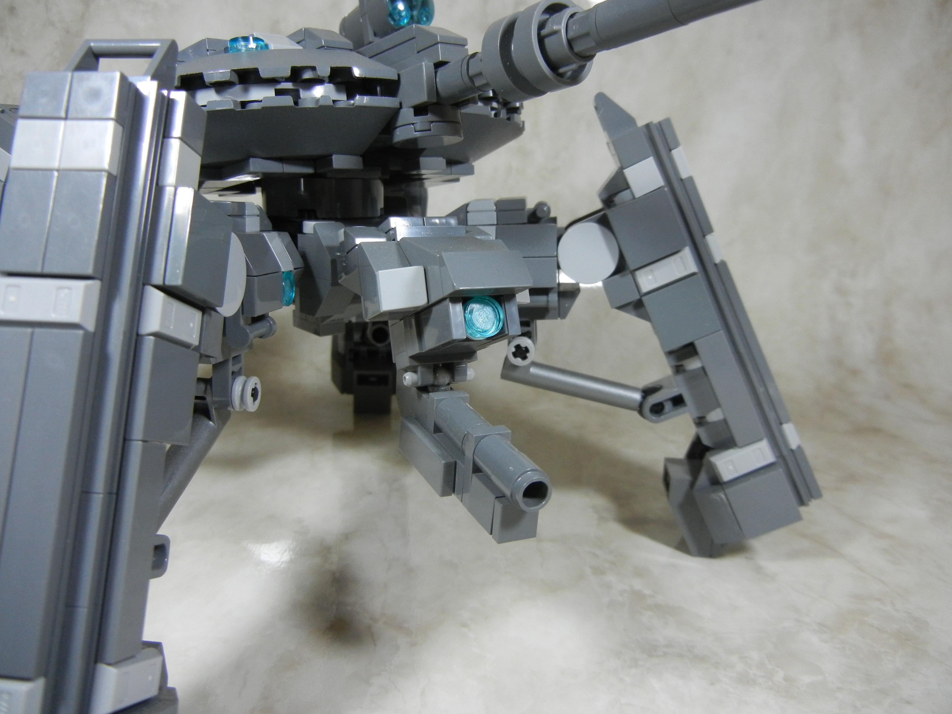 tortoise008.jpg