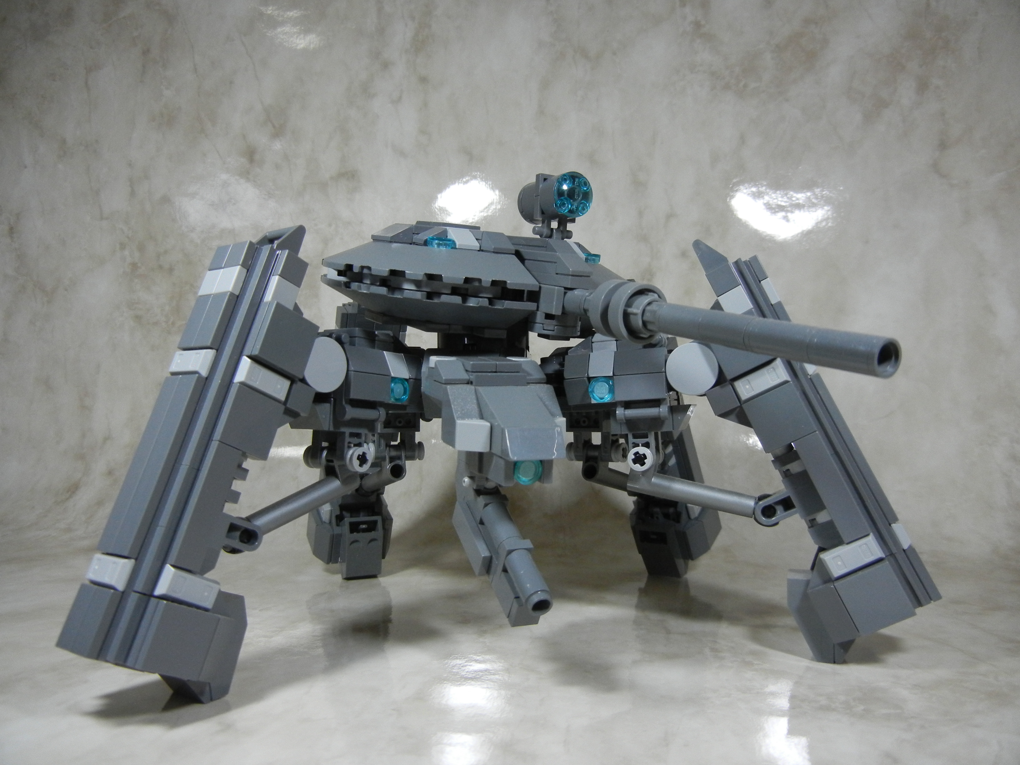 tortoise010.jpg