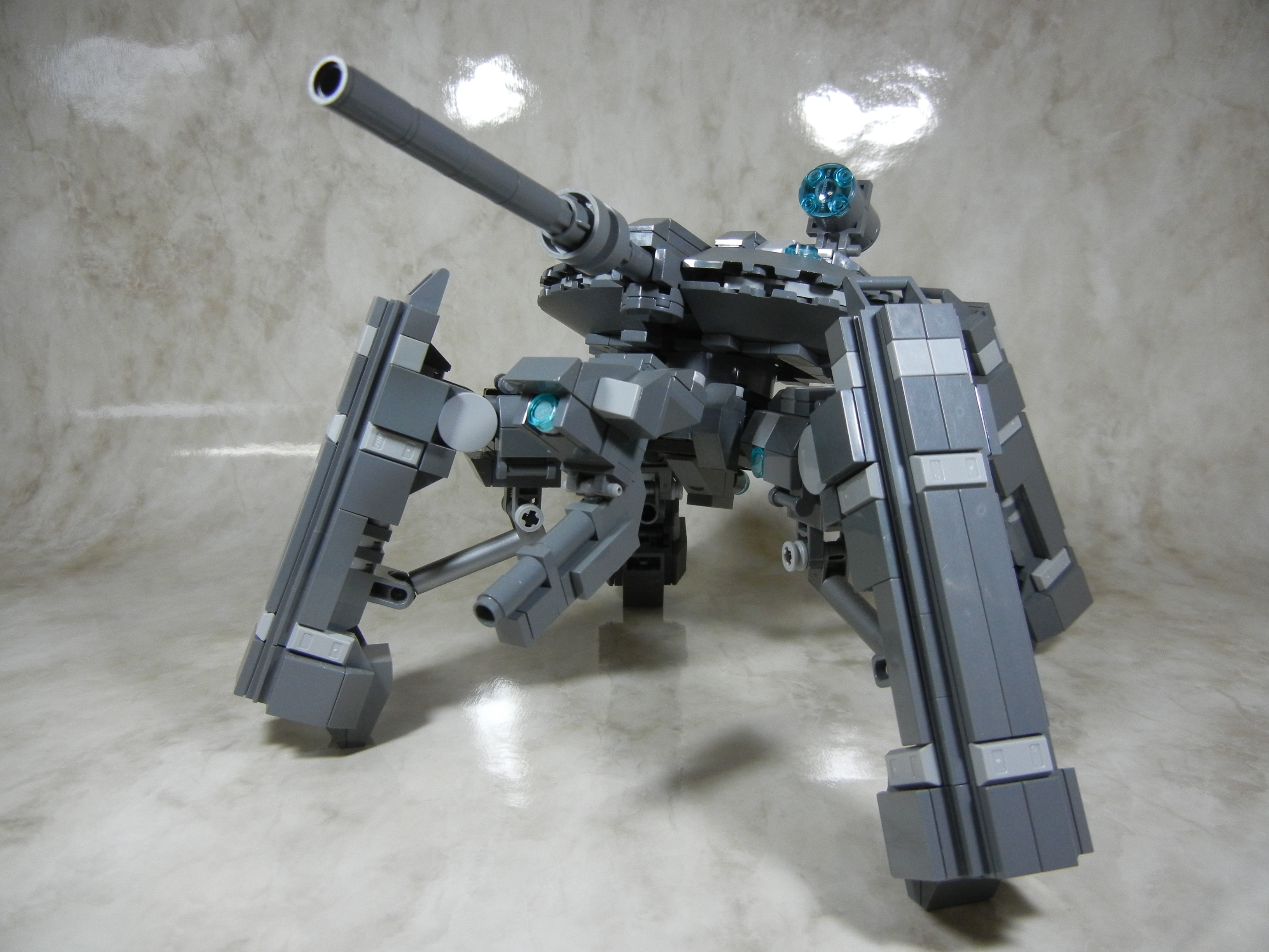 tortoise011.jpg