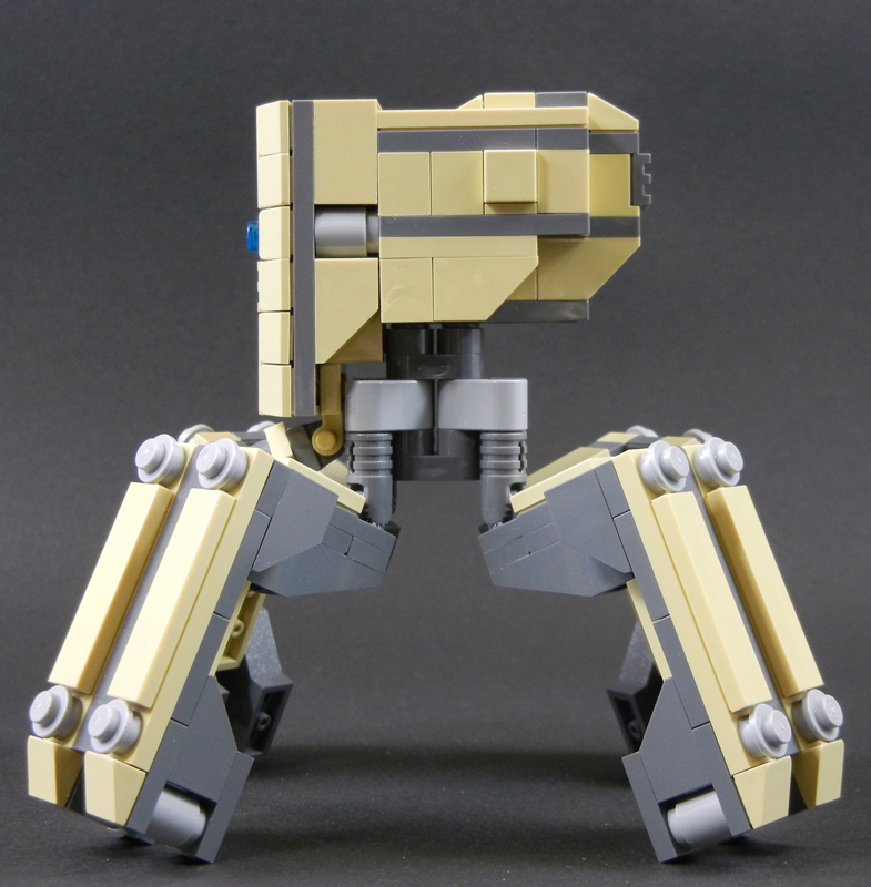 boxwalker003.jpg