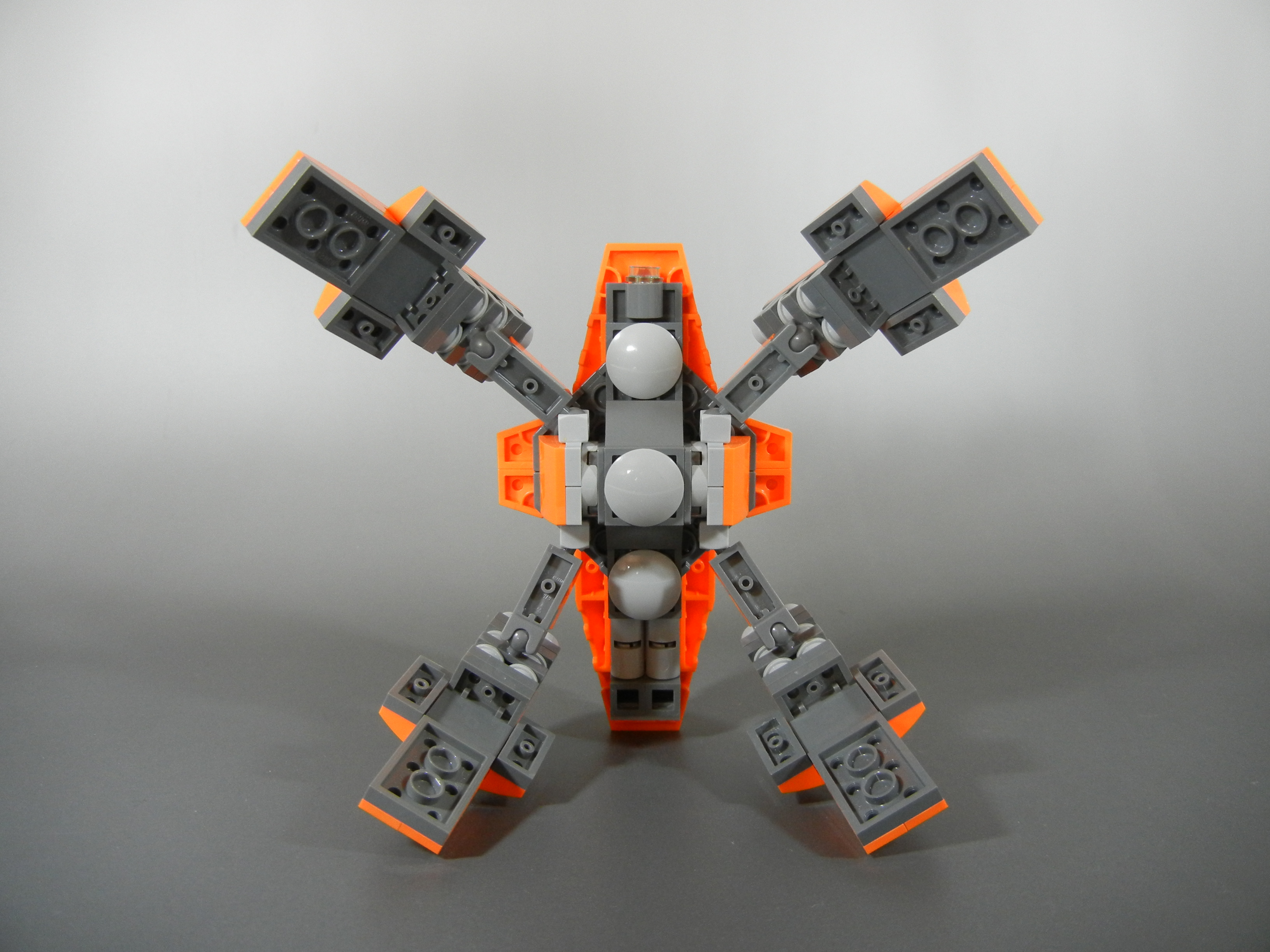 arana008.jpg