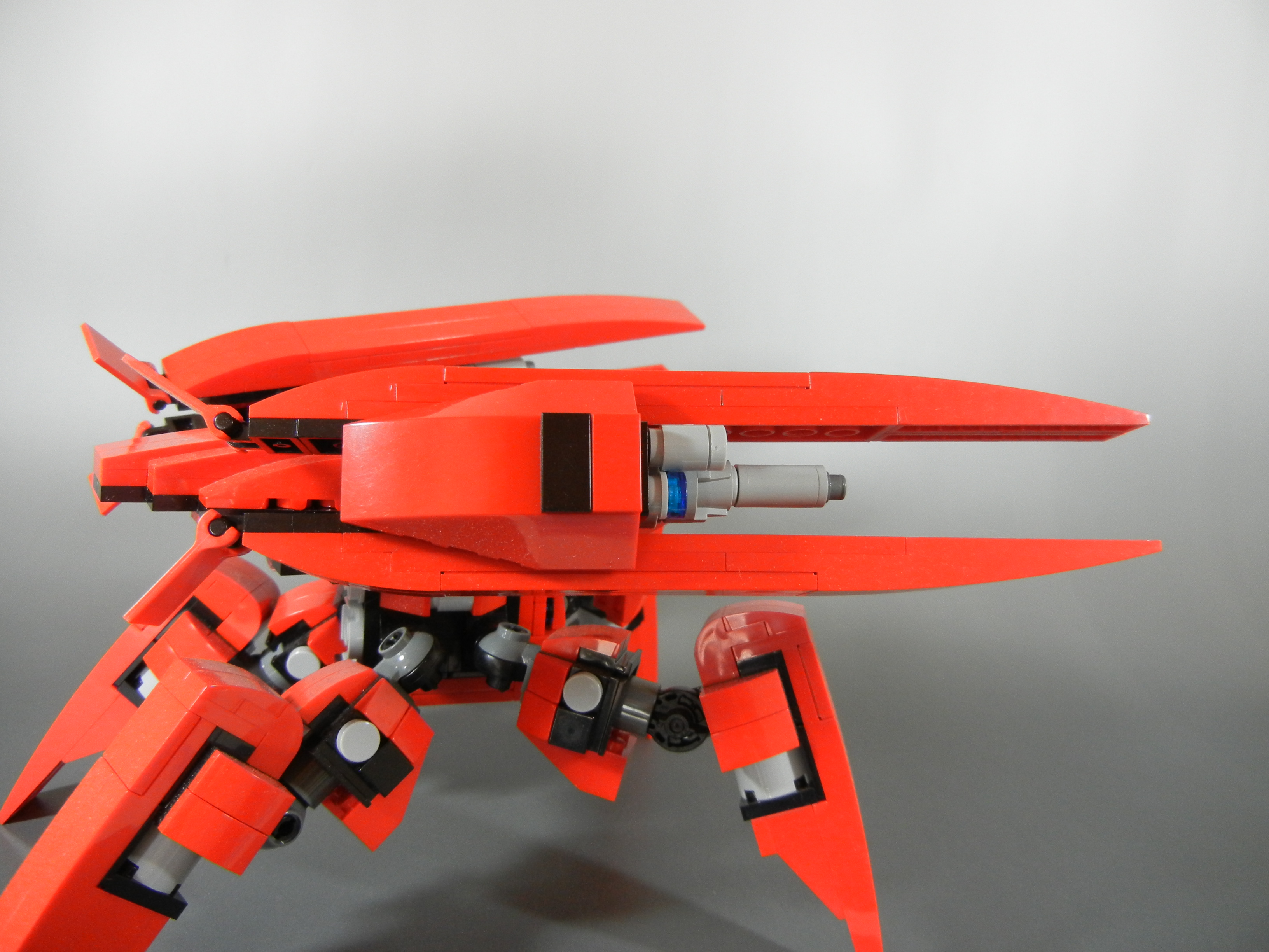cangrejo_008.jpg