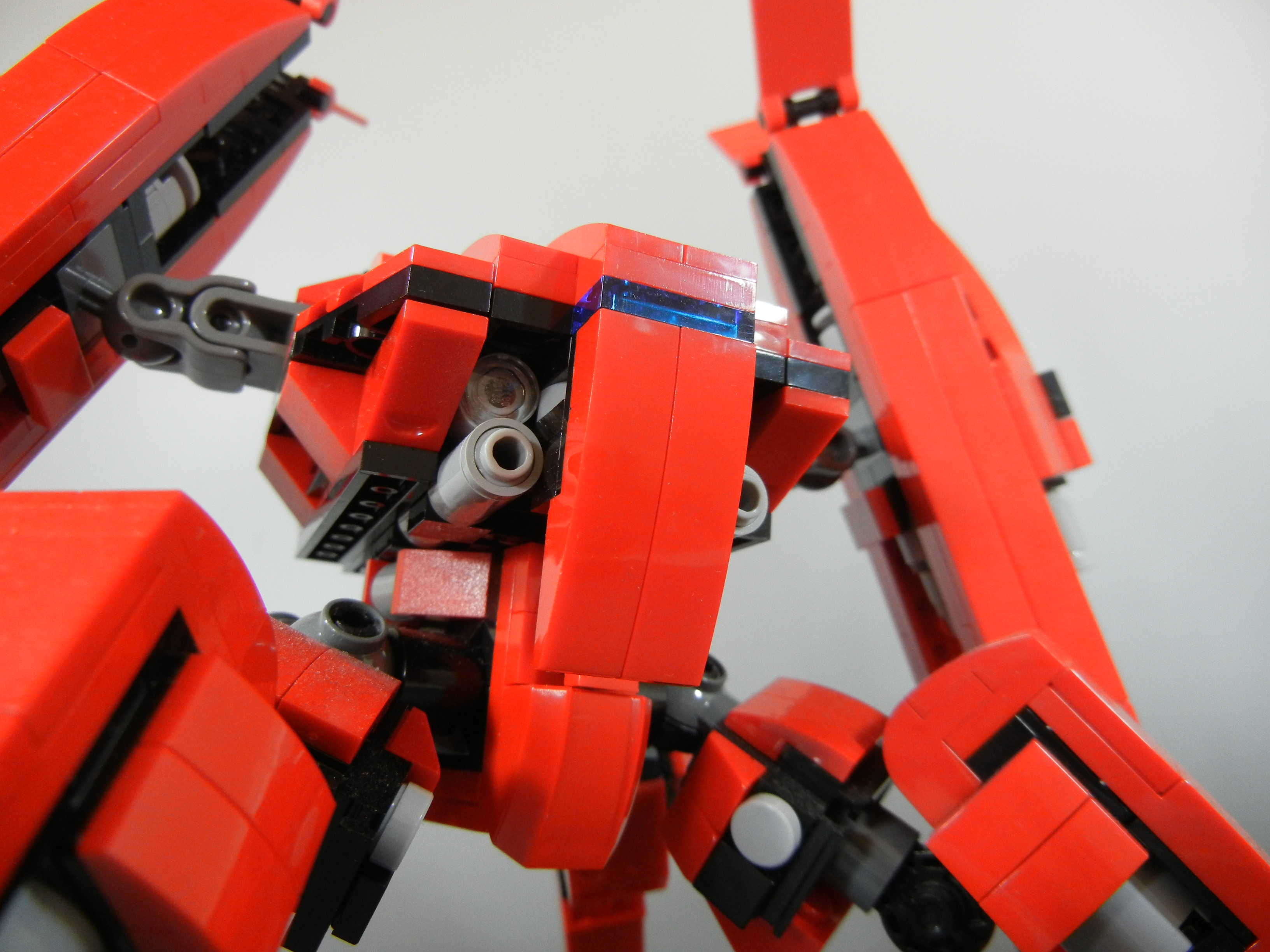 cangrejo_011.jpg