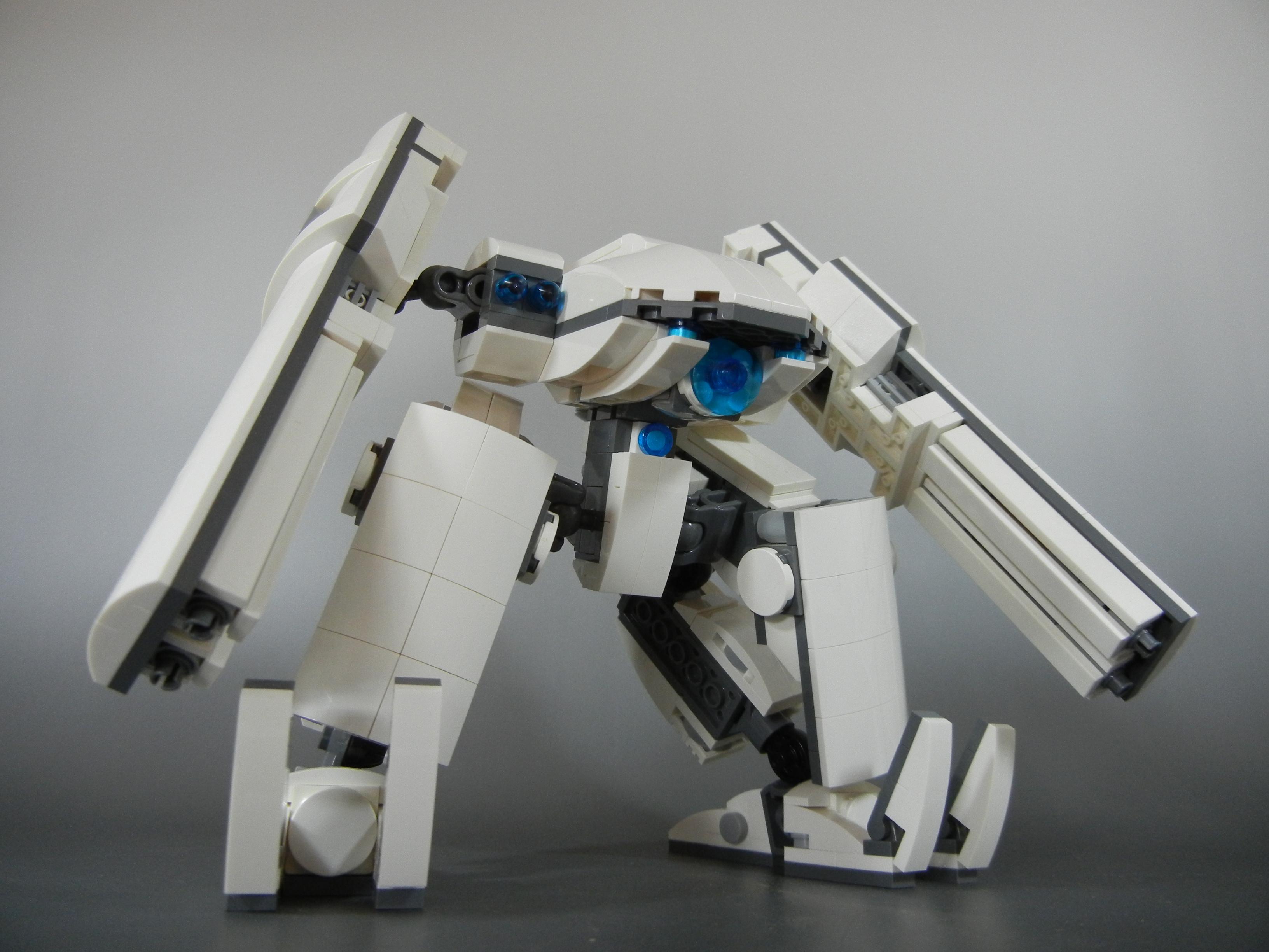 oso001.jpg