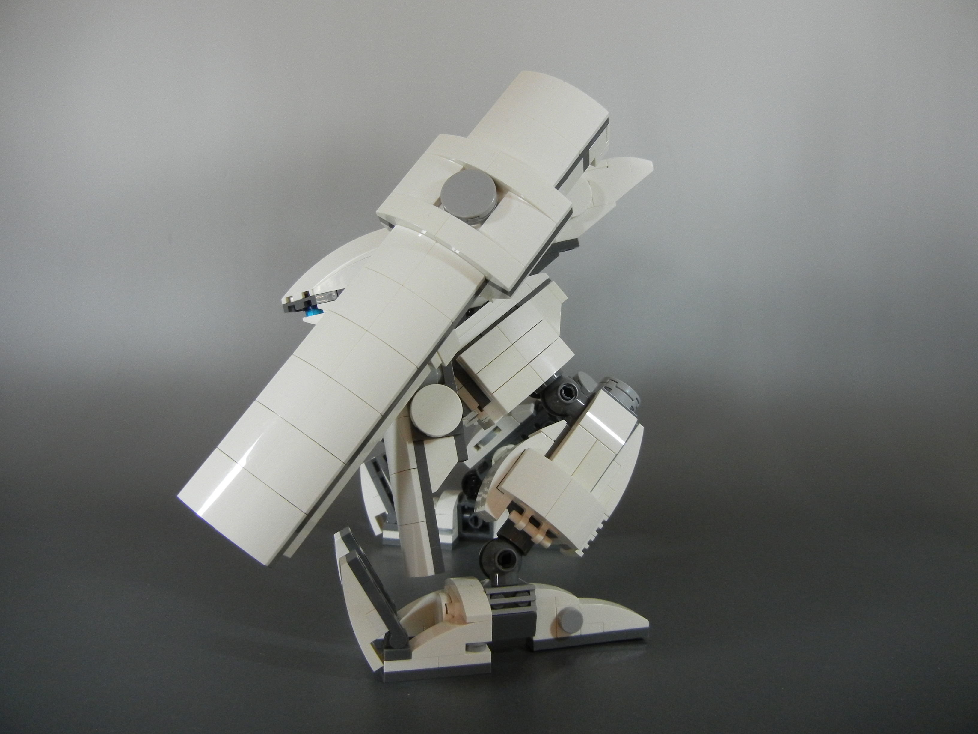 oso004.jpg