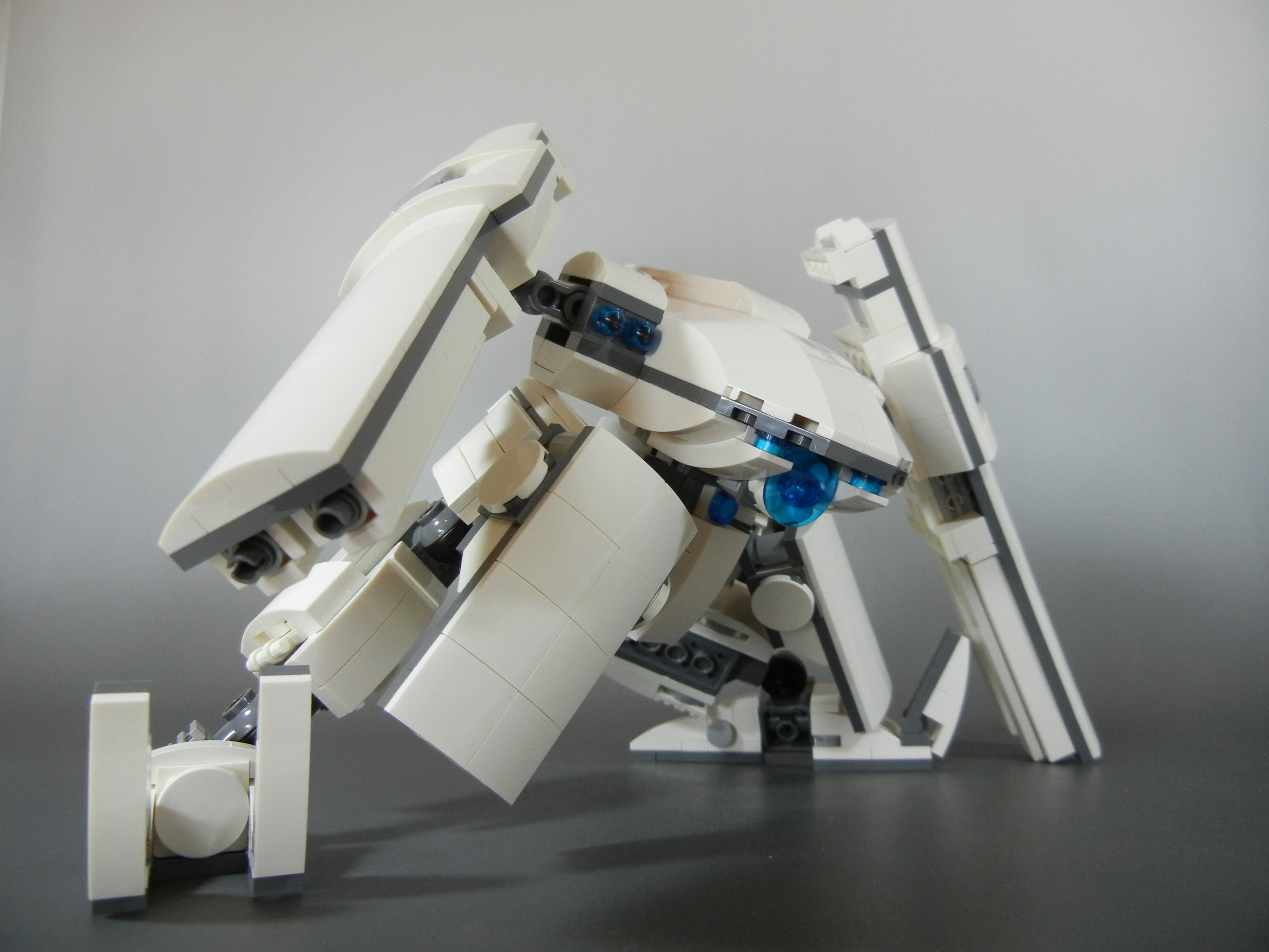 oso009.jpg