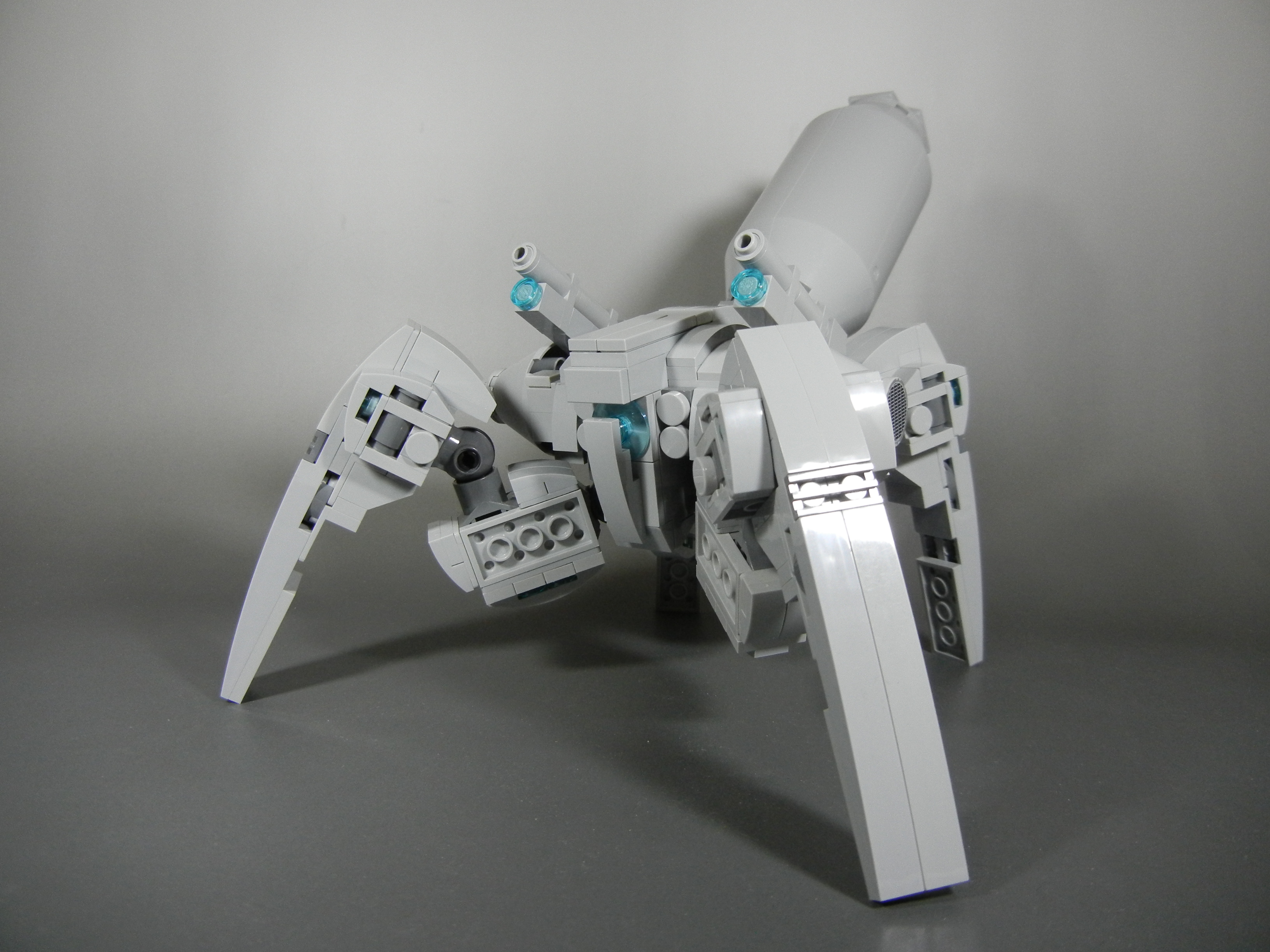 hormiga001.jpg
