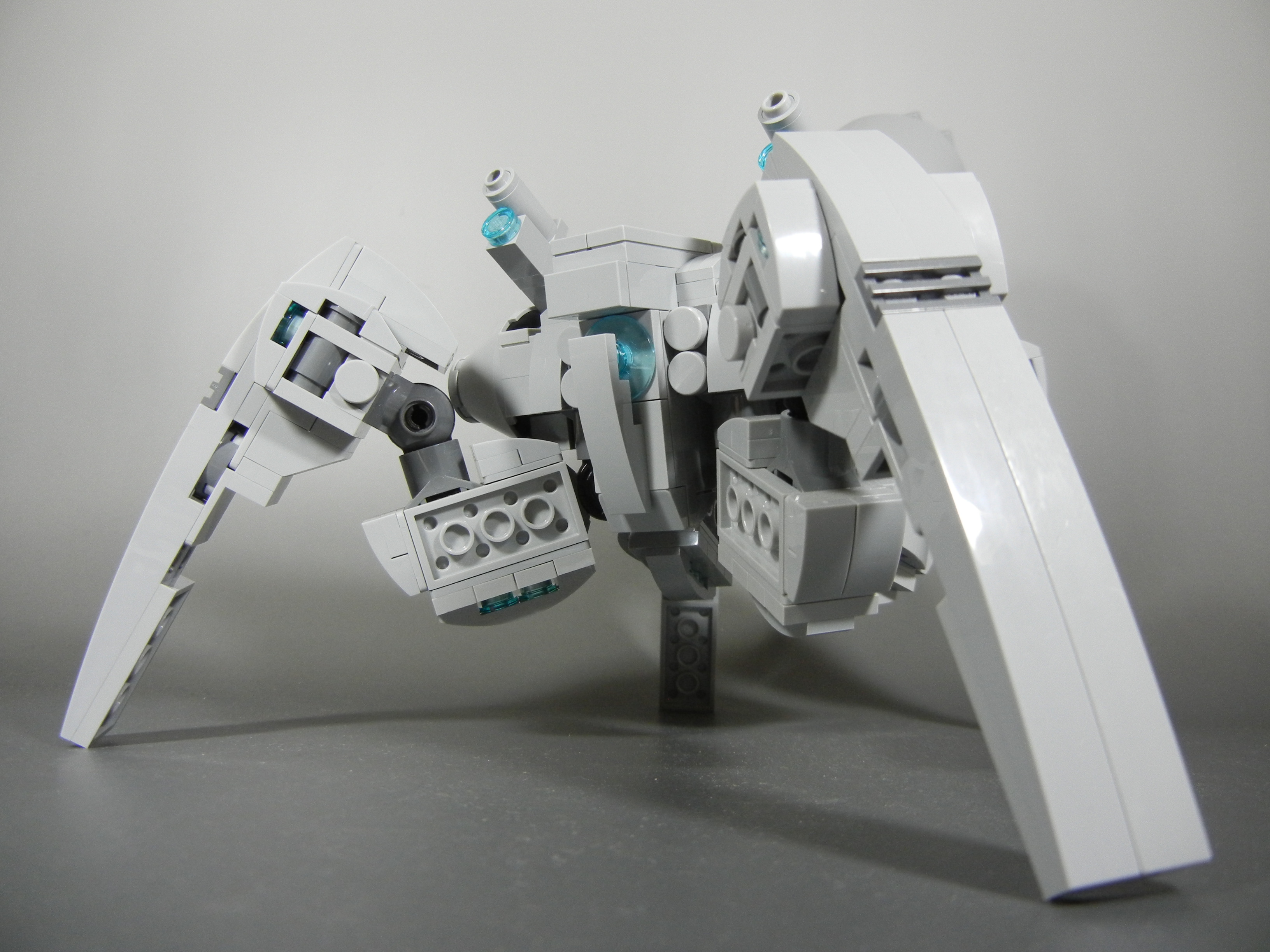 hormiga002.jpg