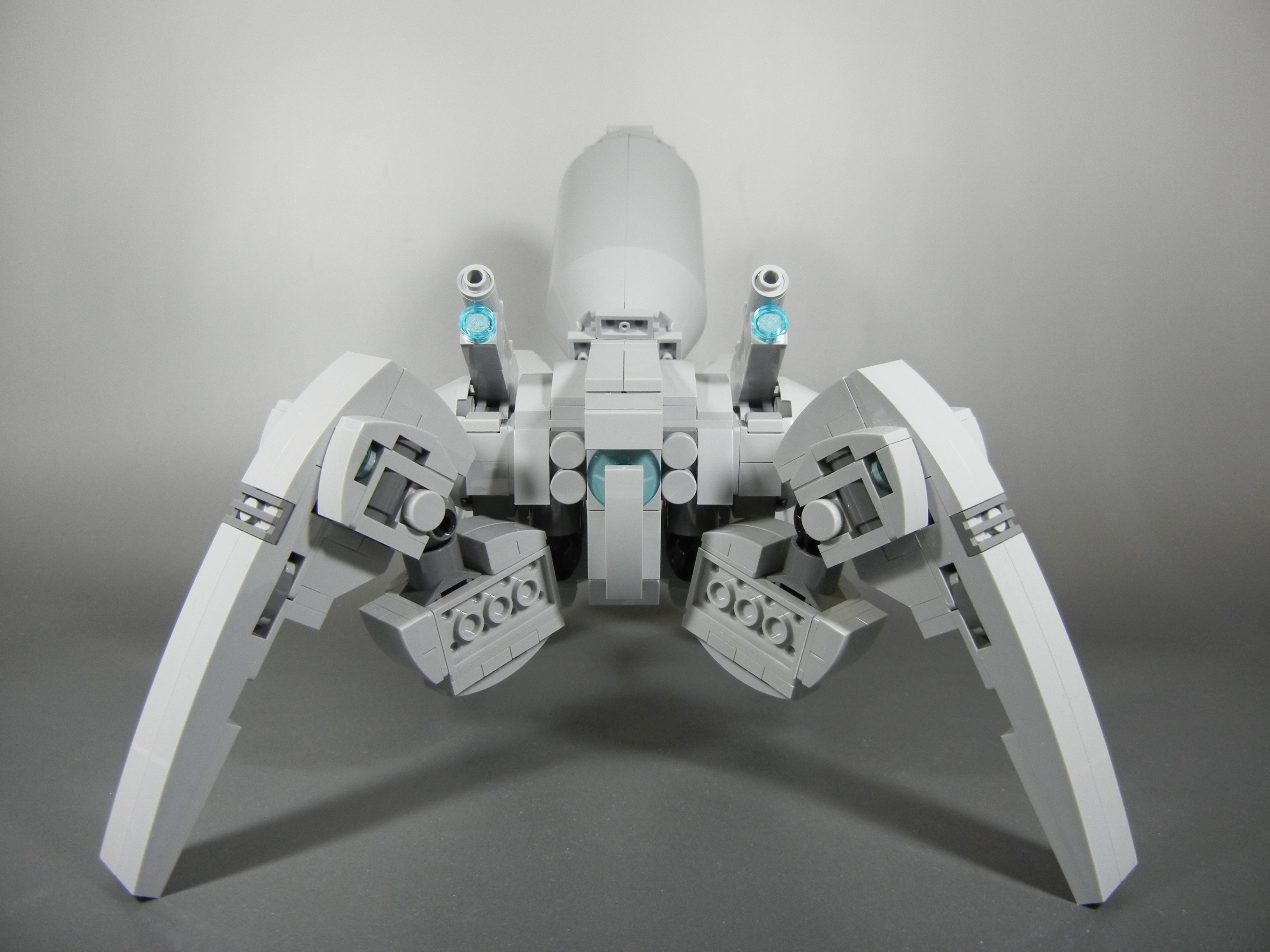 hormiga003.jpg