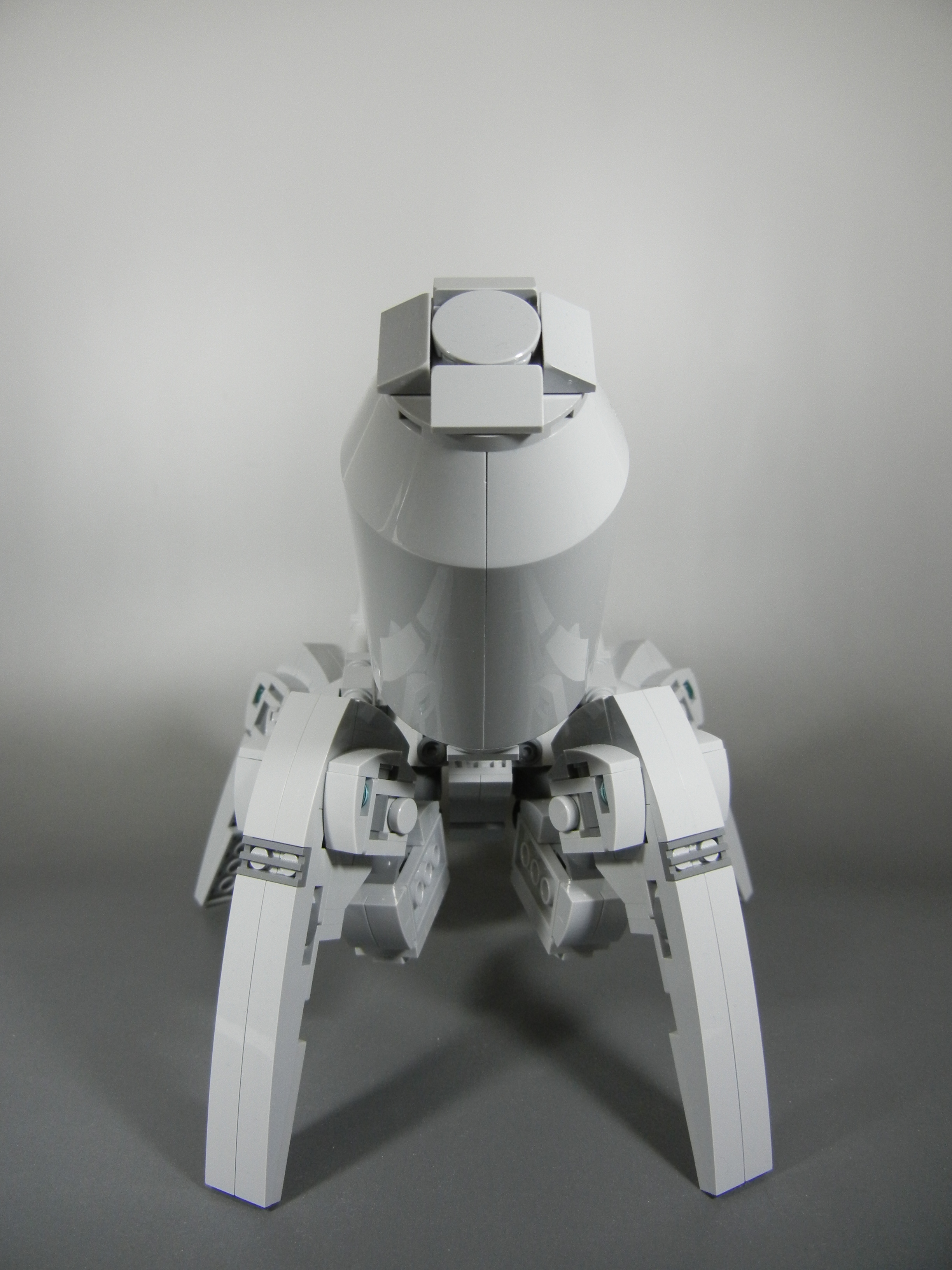hormiga005.jpg
