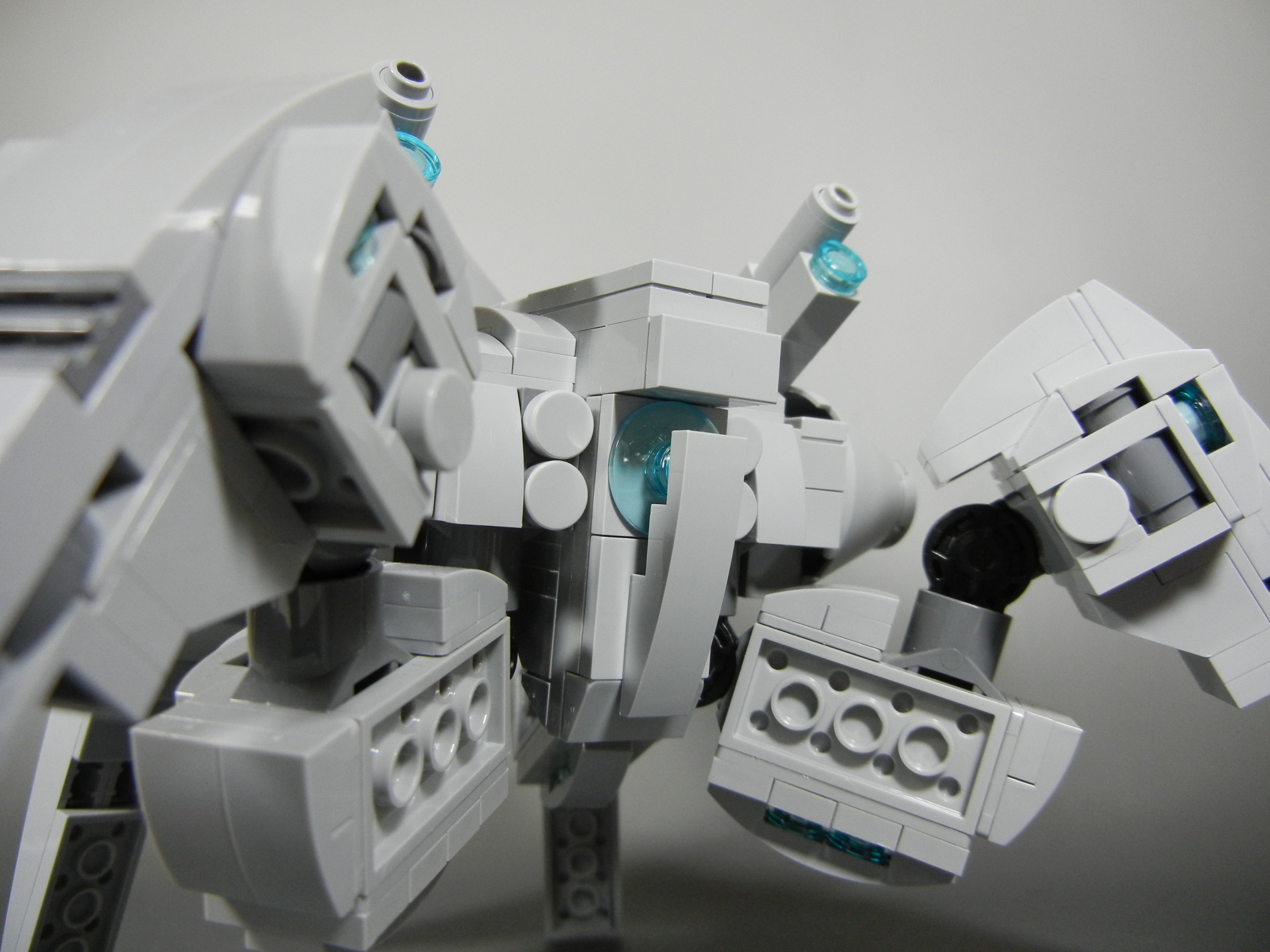 hormiga007.jpg