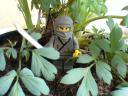 lego221.jpg