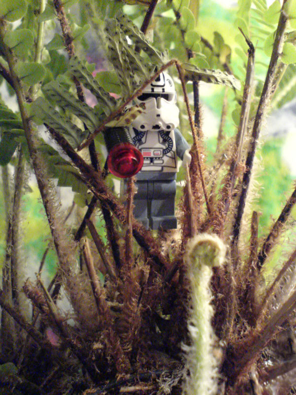 lego049.jpg