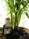 lego214.jpg